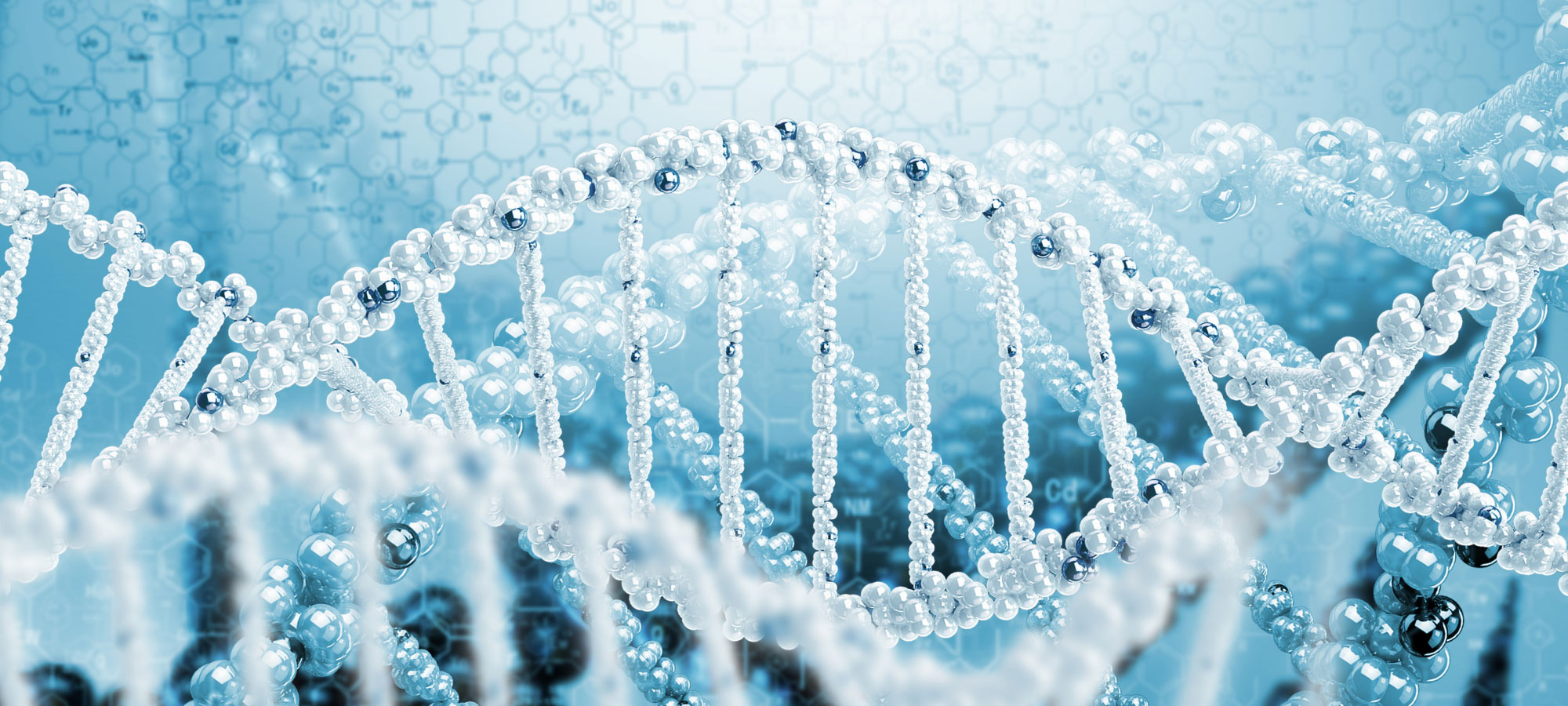 What is genotyping and how does it work? | INTEGRA