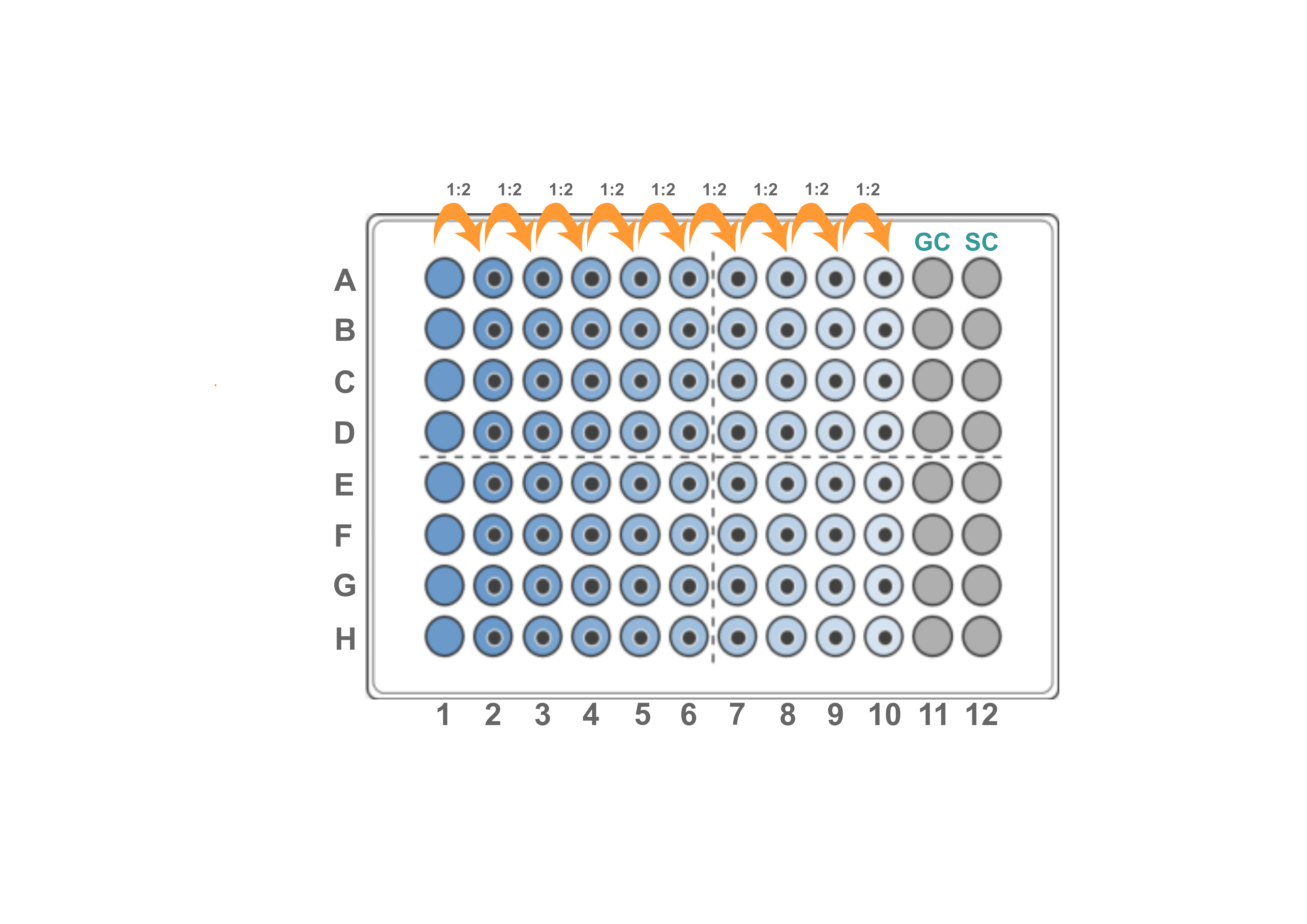 Schematic representation of the 10x twofold serial dilution (GC: growth control, SC: sterility control).
