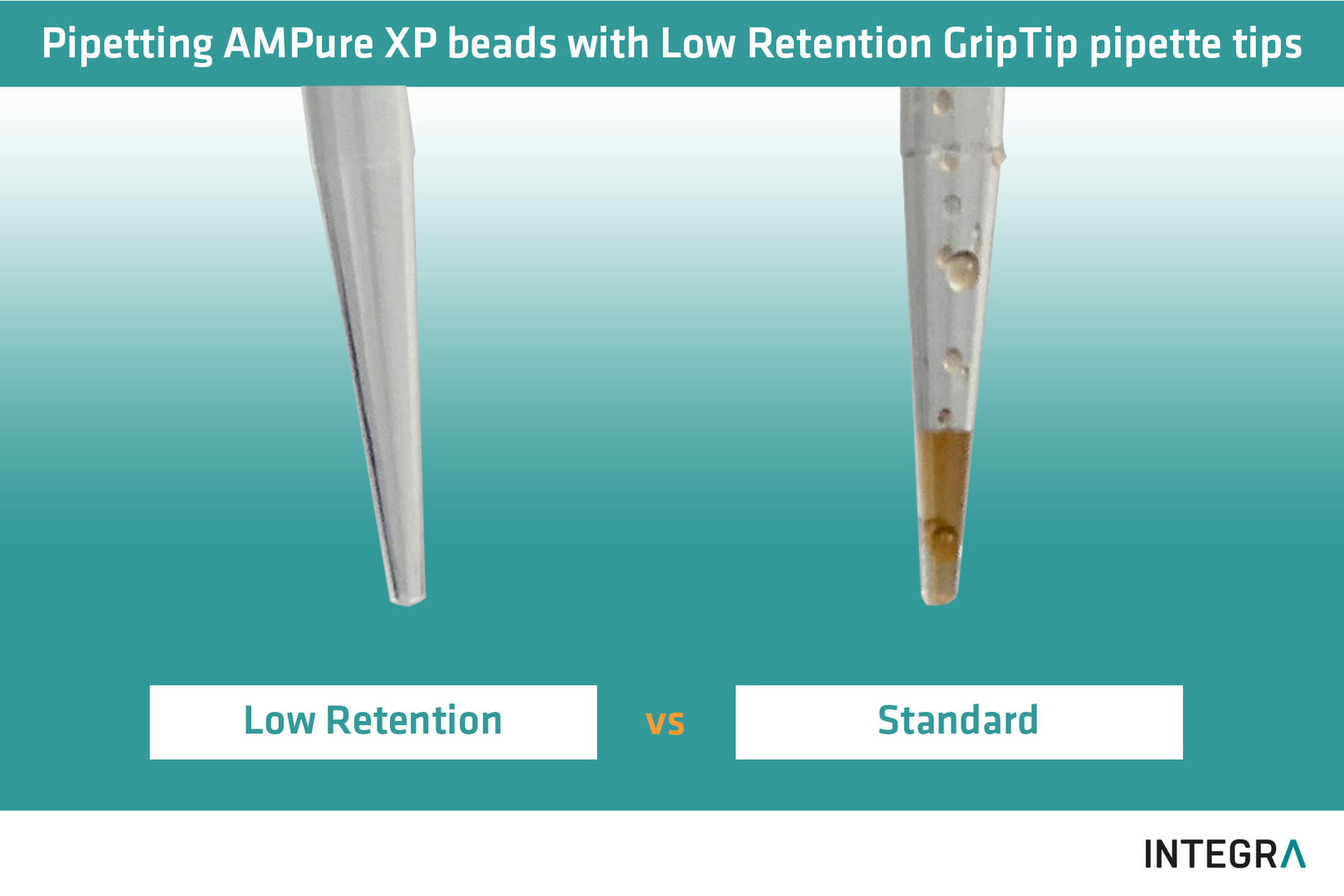 AMPure XP protocol for PCR purification INTEGRA