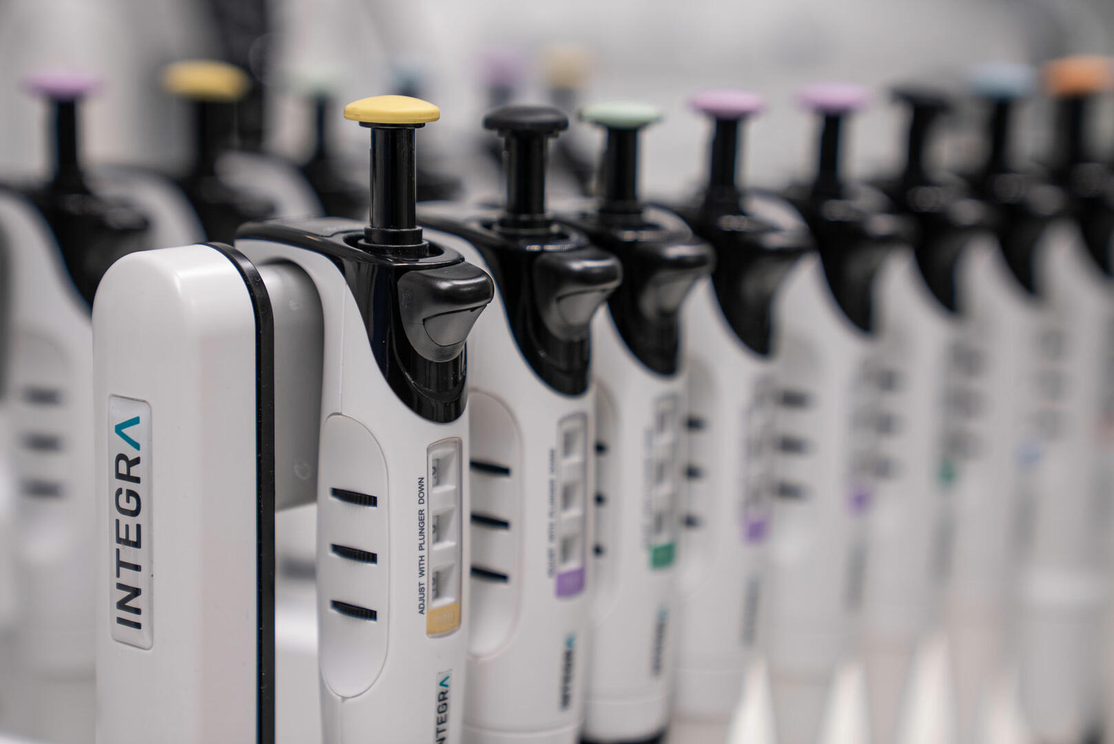 Single Channel Pipettes | INTEGRA