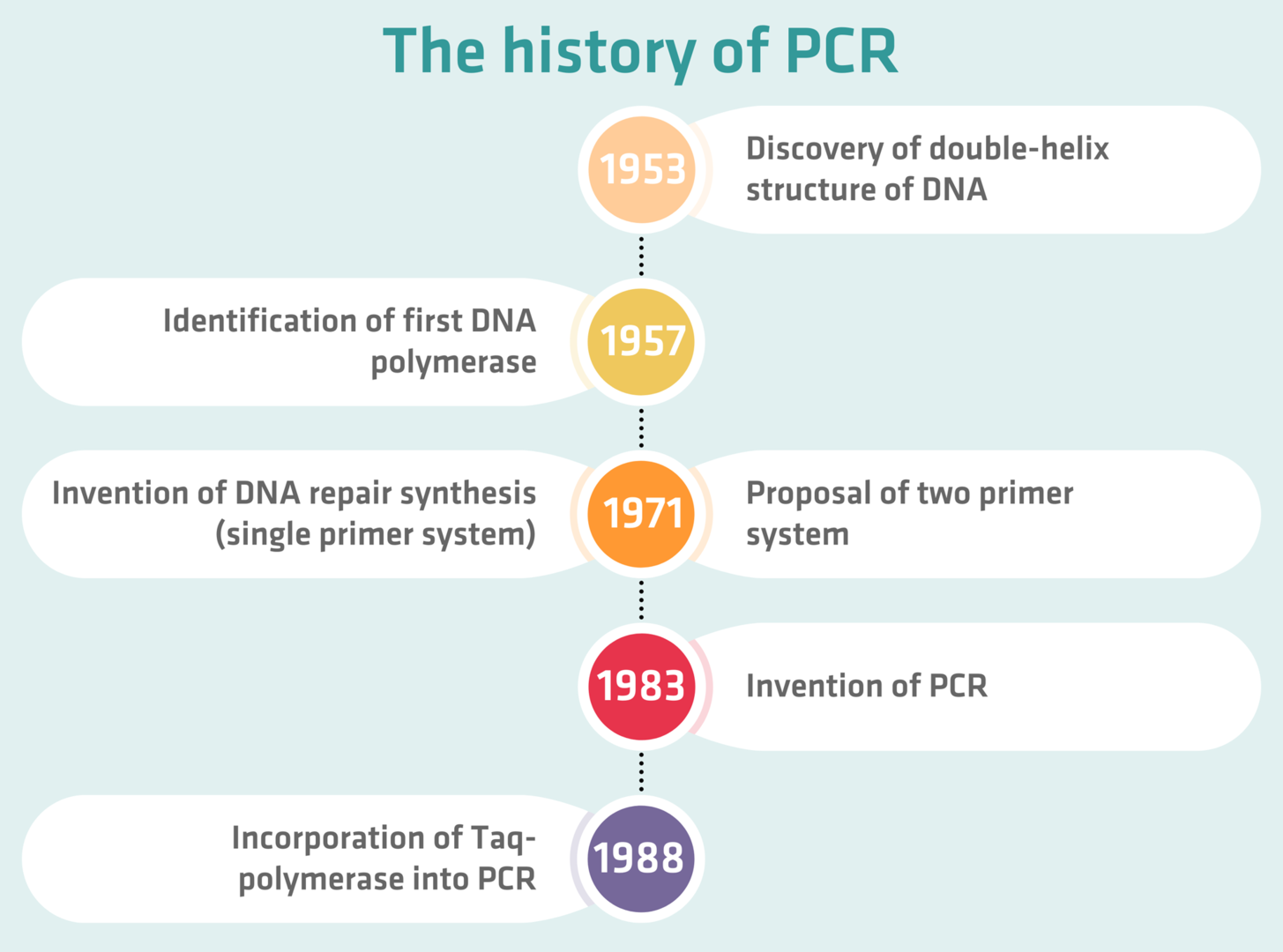 The Complete Guide To PCR | INTEGRA