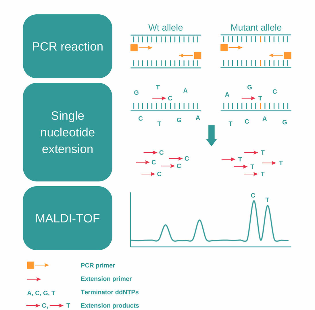 What Is Genotyping - How The Different Methods Work | INTEGRA