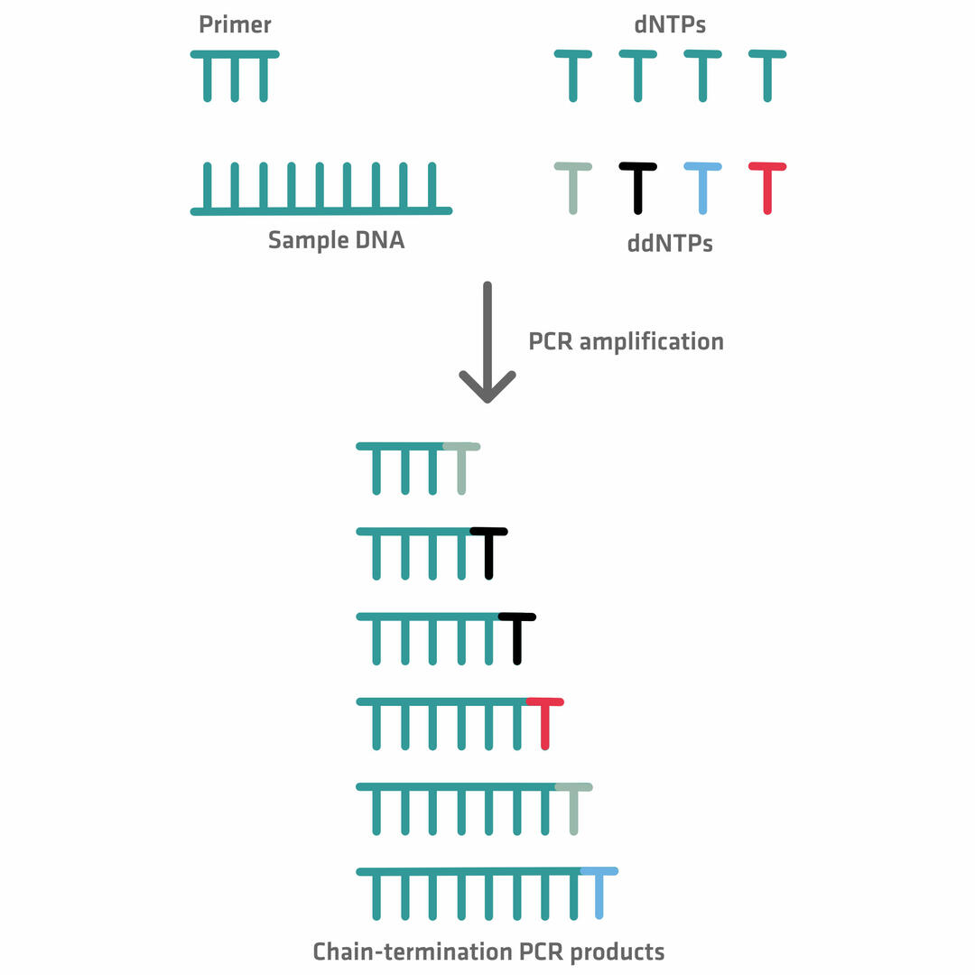 DNA Sequencing Methods: From Sanger To NGS | INTEGRA