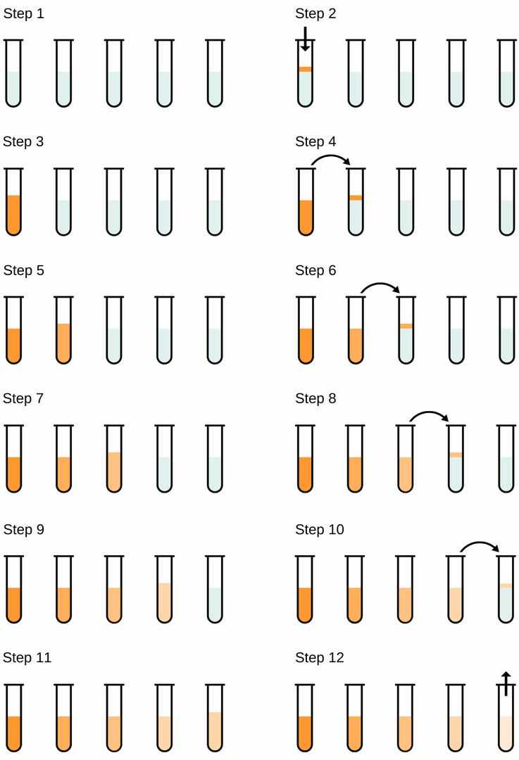 Serial Dilution Diagram