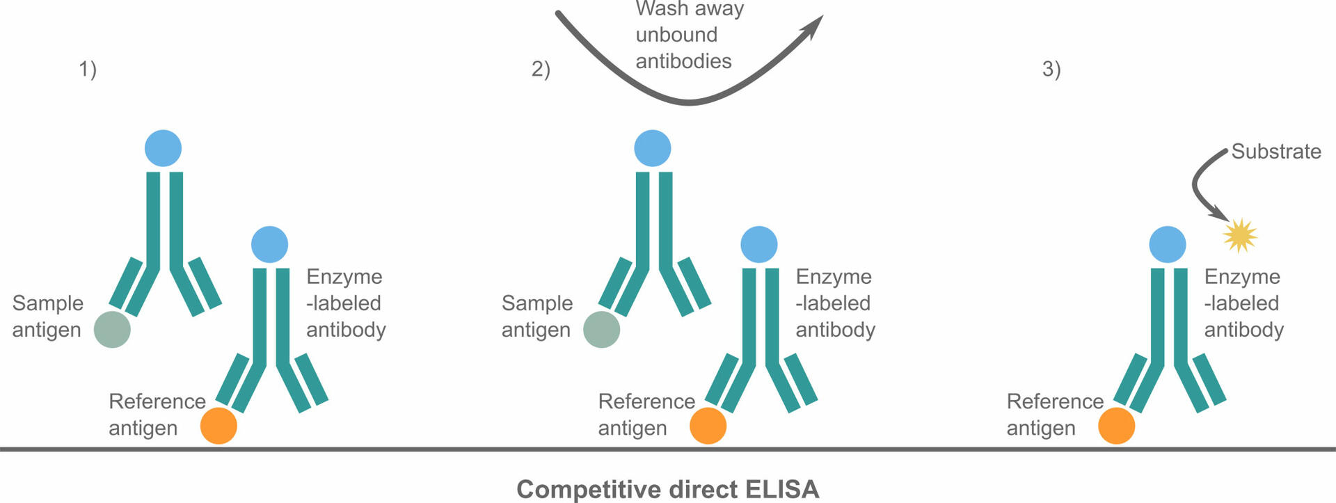 An Introduction To The Different Types Of ELISA Tests | INTEGRA