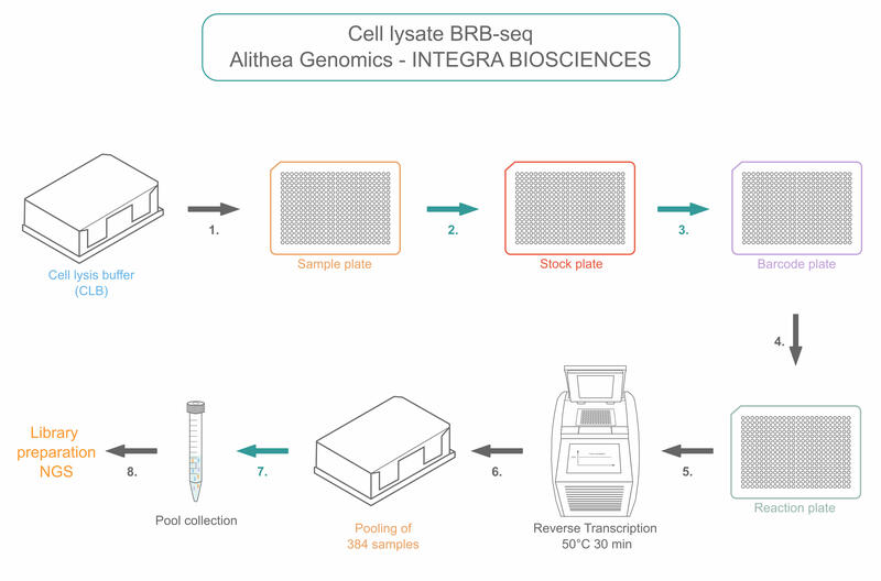 RNA Sequencing Plate Preparation With VIAFLO | INTEGRA